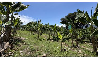VENTA DE FINCA EN MONTENEGRO, QUINDO, COLOMBIA