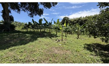 VENTA DE FINCA EN MONTENEGRO, QUINDO, COLOMBIA