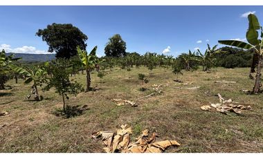 VENTA DE FINCA EN MONTENEGRO, QUINDO, COLOMBIA