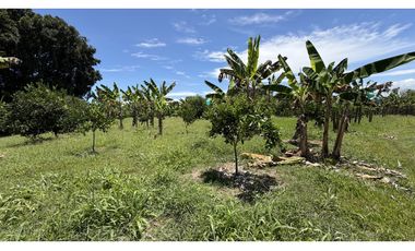 VENTA DE FINCA EN MONTENEGRO, QUINDO, COLOMBIA