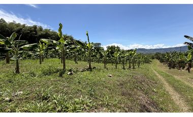 VENTA DE FINCA EN MONTENEGRO, QUINDO, COLOMBIA