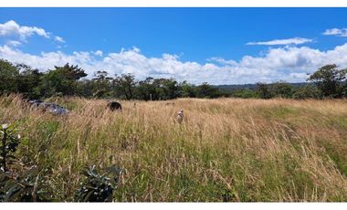 LOTE EN VENTA ALTO BOQUETE // CHIRIQUI