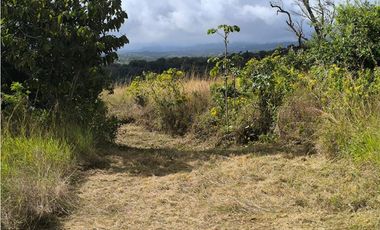 LOTE EN VENTA ALTO BOQUETE // CHIRIQUI