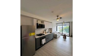 Alquiler Ph Lov San Francisco