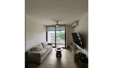 Alquiler Ph Lov San Francisco