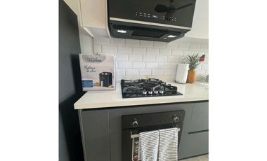 Alquiler Ph Lov San Francisco