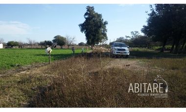 VENDO 188 HAS EN LOS PEREYRA - V. ROBLES - SANTIAGO DEL ESTERO