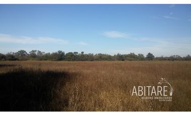 VENDO 188 HAS EN LOS PEREYRA - V. ROBLES - SANTIAGO DEL ESTERO