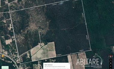VENDO 188 HAS EN LOS PEREYRA - V. ROBLES - SANTIAGO DEL ESTERO
