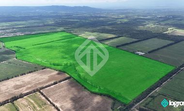 Campo Agricola en Venta de 196 has ubicado en Pampa Blanca - Provincia de Jujuy