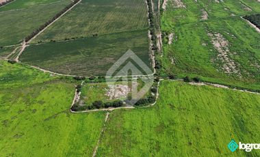 Campo Agricola en Venta de 196 has ubicado en Pampa Blanca - Provincia de Jujuy