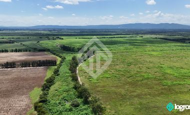 Campo Agricola en Venta de 196 has ubicado en Pampa Blanca - Provincia de Jujuy