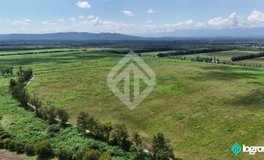 Campo Agricola en Venta de 196 has ubicado en Pampa Blanca - Provincia de Jujuy