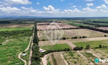 Campo Agricola en Venta de 196 has ubicado en Pampa Blanca - Provincia de Jujuy