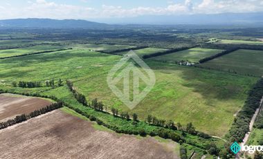 Campo Agricola en Venta de 196 has ubicado en Pampa Blanca - Provincia de Jujuy