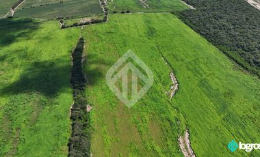 Campo Agricola en Venta de 196 has ubicado en Pampa Blanca - Provincia de Jujuy