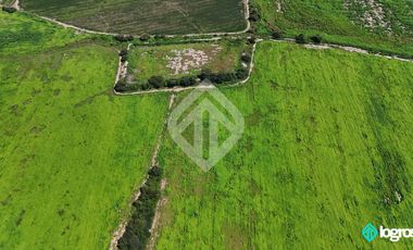Campo Agricola en Venta de 196 has ubicado en Pampa Blanca - Provincia de Jujuy