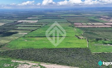 Campo Agricola en Venta de 196 has ubicado en Pampa Blanca - Provincia de Jujuy