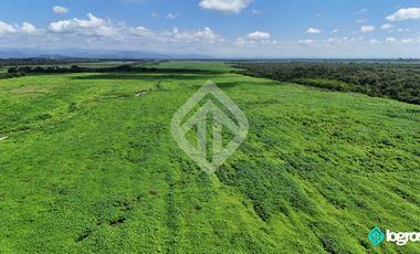 Campo Agricola en Venta de 196 has ubicado en Pampa Blanca - Provincia de Jujuy