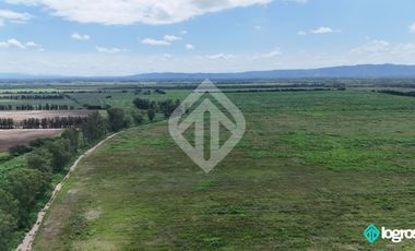 Campo Agricola en Venta de 196 has ubicado en Pampa Blanca - Provincia de Jujuy