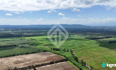 Campo Agricola en Venta de 196 has ubicado en Pampa Blanca - Provincia de Jujuy