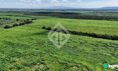 Campo Agricola en Venta de 196 has ubicado en Pampa Blanca - Provincia de Jujuy