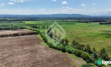 Campo Agricola en Venta de 196 has ubicado en Pampa Blanca - Provincia de Jujuy