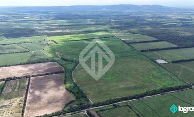 Campo Agricola en Venta de 196 has ubicado en Pampa Blanca - Provincia de Jujuy