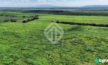 Campo Agricola en Venta de 196 has ubicado en Pampa Blanca - Provincia de Jujuy