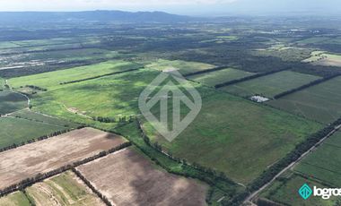 Campo Agricola en Venta de 196 has ubicado en Pampa Blanca - Provincia de Jujuy