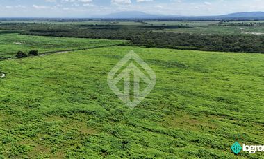 Campo Agricola en Venta de 196 has ubicado en Pampa Blanca - Provincia de Jujuy