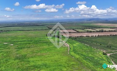 Campo Agricola en Venta de 196 has ubicado en Pampa Blanca - Provincia de Jujuy