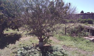 CASA 3 DORM   IDEAL DESARROLLOS  LAGUNA LARGA CBA