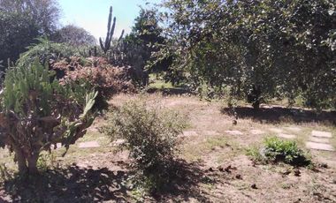 CASA 3 DORM   IDEAL DESARROLLOS  LAGUNA LARGA CBA