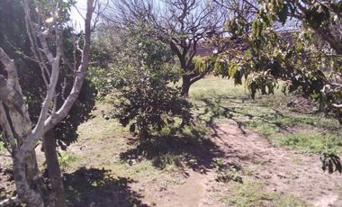 CASA 3 DORM   IDEAL DESARROLLOS  LAGUNA LARGA CBA