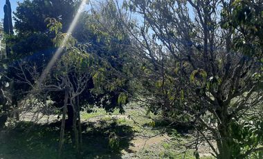 CASA 3 DORM   IDEAL DESARROLLOS  LAGUNA LARGA CBA