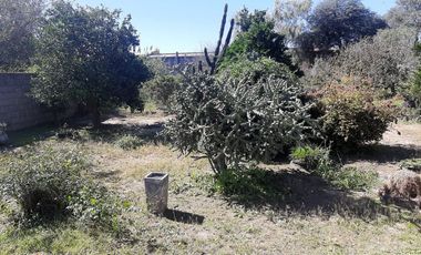 CASA 3 DORM   IDEAL DESARROLLOS  LAGUNA LARGA CBA