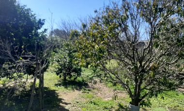 CASA 3 DORM   IDEAL DESARROLLOS  LAGUNA LARGA CBA