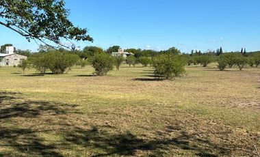 VENTA TERRENO 3168m LA GRANJA, LOS MOLLES, CORDOBA