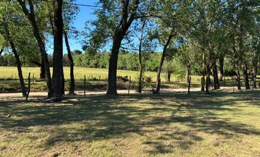 VENTA TERRENO 3168m LA GRANJA, LOS MOLLES, CORDOBA