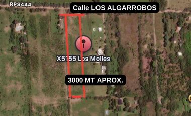 VENTA TERRENO 3168m LA GRANJA, LOS MOLLES, CORDOBA