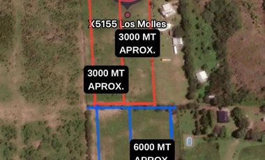 VENTA TERRENO 3168m LA GRANJA, LOS MOLLES, CORDOBA