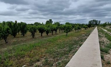 Lote en Barrio Cerrado de Maipú, Distrito Gomez