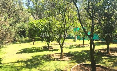 Casa en Arriendo en La Aurora San Rafael | Casa En Venta | Curacaví | Alas Propiedades