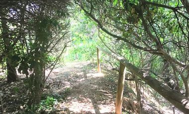 Casa en Arriendo en La Aurora San Rafael | Casa En Venta | Curacaví | Alas Propiedades