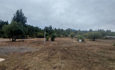 Sitio en Venta en DIGUA SEPTIMA