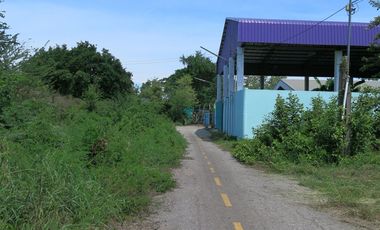 Land for sale in Khao Noi, Prachuap Khiri Khan