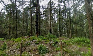 Terreno campestre en venta, en Pueblo Nuevo, municipio Mineral del Monte, Hidalg