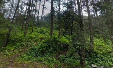 Terreno campestre en venta, en Pueblo Nuevo, municipio Mineral del Monte, Hidalg