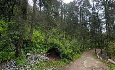 Terreno campestre en venta, en Pueblo Nuevo, municipio Mineral del Monte, Hidalg